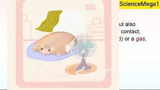 What is Convection-Heat transfer