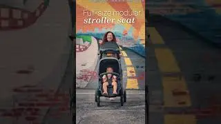 Chicco Corso Flex Convertible Stroller