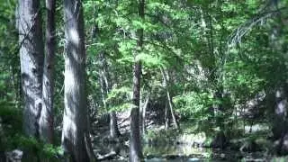 Protecting Your Private Property Rights