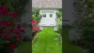 Beautiful Roses ,lovely flowers &ldquo;garden ideas &ldquo;
