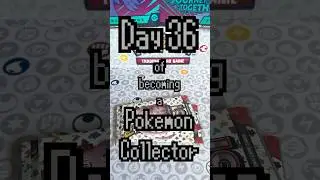 Day 36 - Becoming a Pokemon Collector #pokemon #pokemoncards #pokemontcg
