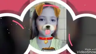 Я собачка