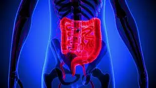 Stomach Disorder & Digestion Healing Frequency | Colon Treatment With Binaural Beats