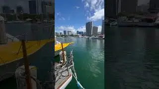 Sailing with phoenix just arrived in Hawai&rsquo;i from Oregon. Congratulations man.