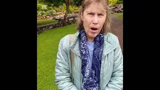#housesitting #petsitting #tommorton #newzealand #fyp #petsitter #dogsitting #housesitter #dogsitter