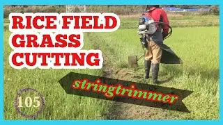 The wind was strong, but I'm mowing today as well.Mower RK3026-PT 25.4cc , chapter105