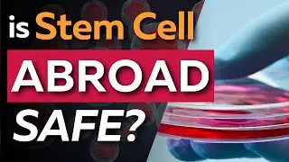 Stem Cells Abroad: Risky Gamble Or Miracle Cure?