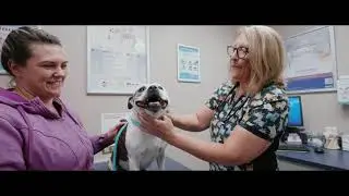 Up to $100K bonus to work at Wood Buffalo Small Animal Hospital!