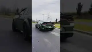 Dodge Charger Widebody F8 Green 🤤🤤 #Dodge #Charger #scatpack392 #F8Green #run #dodgecharger392