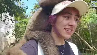 Animal Sanctuary Part 3 - Peru Vlog Part 6