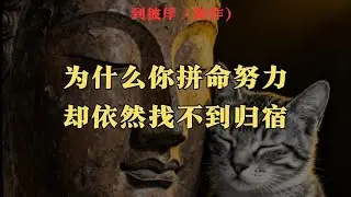 为什么你拼命努力却依然找不到归宿