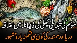 Climate Change and Rising Fish Demand in Pakistan | Popular River and Sea Fish Species