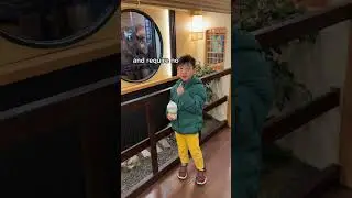 $3 Sightseeing train between Kyoto and Osaka?! 😱