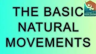 BASIC NATURAL MOVEMENTS