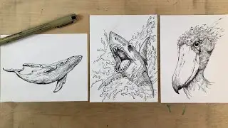 Live Replay ✍🏻 🐋 Ink Drawing Live: Shark & Whale Ocean Sketch Session | Pen Art Techniques