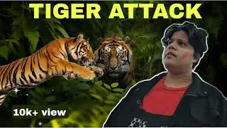 TIGER 🐅 ATTACK ON ME 🙀 COOKING IN JUNGLE | GREATS VLOGS 
