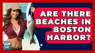 Are There Beaches In Boston Harbor? - Boat Life Masters