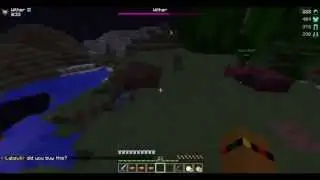 Making A Wither Boss on pvp.pitforge.com