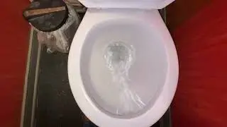 🚽Bathroom Tour:  Project Source Toilet at Millies Diner Richmond VA