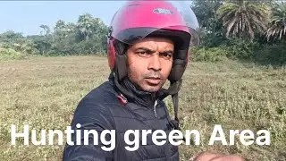 Hunting small plants Flowers 