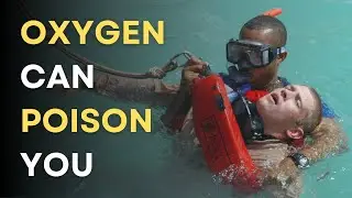 (Almost) Everything You Need To Know About Oxygen To Scuba Dive Safely