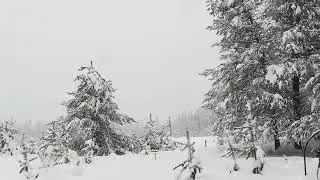 NON COPYRIGHT MUSIC| SOFT PIANO MUSIC FOR RELAXATION| SNOWING BACKGROUND