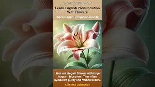 Learn English with Mary: Talking About Lilies #englishfun #englishpractice #englishwithmary