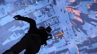 The division bugs