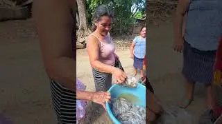 Le compramos todo y miren su reacci&oacute;n 🙏