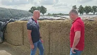 ‘Met 60/40 loopt het nog beter’ | Op bezoek bij Melkveebedrijf Vijverberg in Strijen | LG Seeds