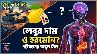 প্রাণী হরমোন  দেহের গোপন বার্তাবাহক | অন্তঃক্ষরা গ্রন্থি (Endocrine Glands) | Class 10 Life Science