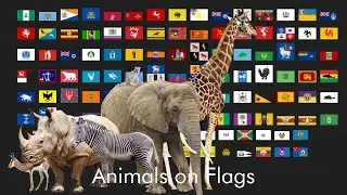 Animals on Flags: A World Animal Day Celebration
