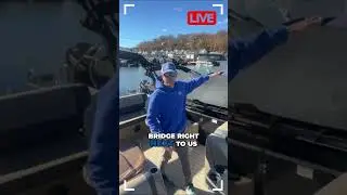 An Entire Boat Rental Fleet on Lake Hopatcong With Power Bimini Tops: Bridge Marina #shorts
