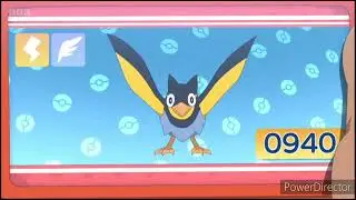 Wattrel Pok&eacute;dex Entry..wmv