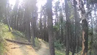 Merlin View Trail, Bragg Creek on a Cheapest Scott  Aspect Hardtail😁