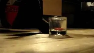 Funny dog tricks! :)