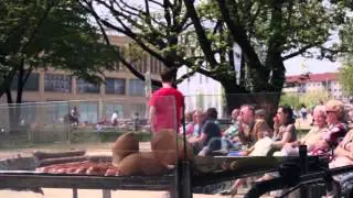 5. Deutsches Musikfest in Chemnitz