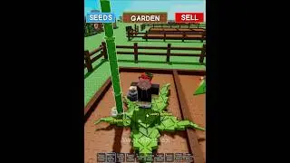 Bamboo vs Lucky Bamboo #roblox #growagarden