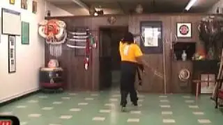 Hasayfu Double Gan