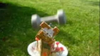 Windmill Gingerbread House's Demise