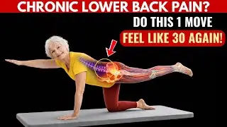 Back Pain After 60 is NOT Permanent: 3 Research-Backed Moves for Relief!