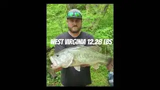 part seven #Arkansas #Wisconsin #West Virginia #Virginia #Indiana #Minnesota