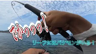 化け物級がウヨウヨしてる海にルアーを投げてみたら凄かった【沖縄釣り】