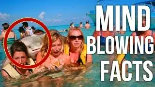 15 MIND BLOWING FACTS YOU NEVER KNEW BEFORE | Ashlelayy