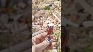 #нашланазаводе #красныймай стекло Болотиных, #царскоестекло