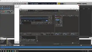 Sound Design Shorts: Bird