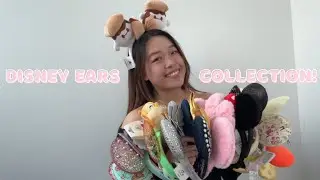 Disney Ears Collection & Display: anniversary, princess, cast member exclusive, company D $5 EARS?!