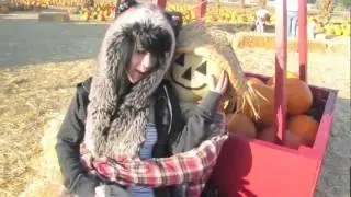 Trip to the pumpkin patch