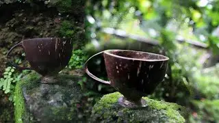 coconut shell tea cup ☕