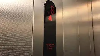 All of the Kone lifts in Bluewater